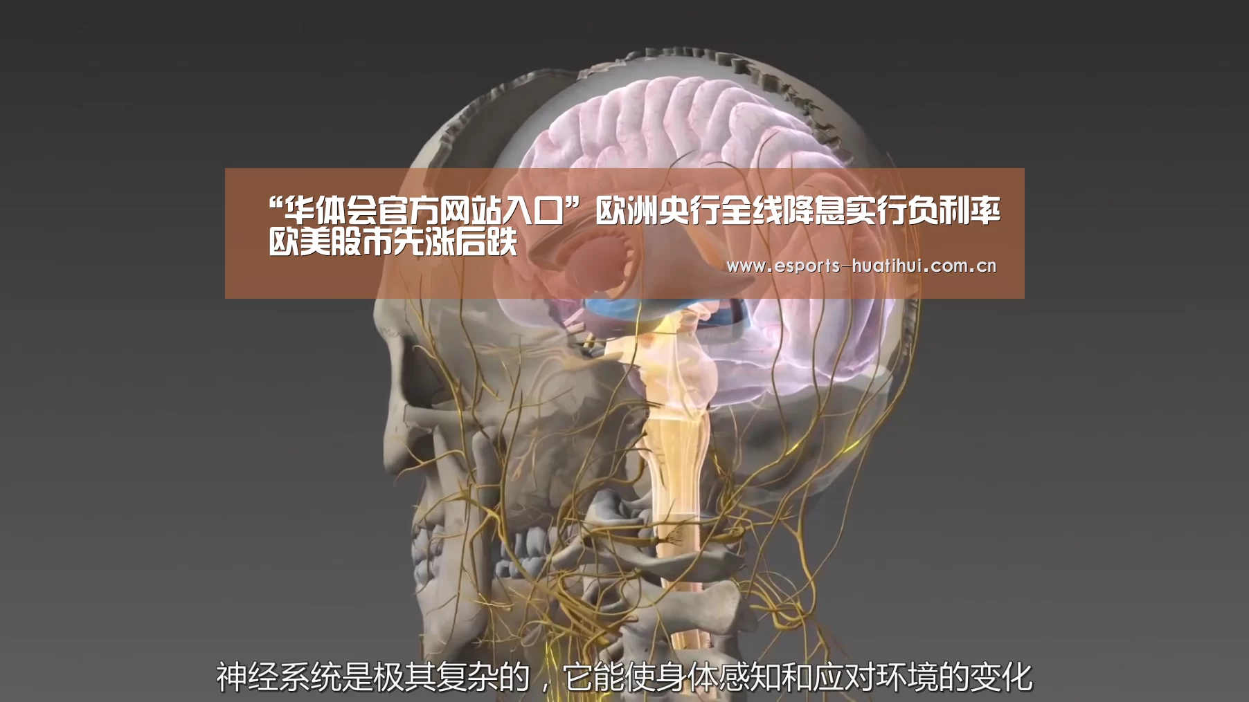 华体会体育app下载