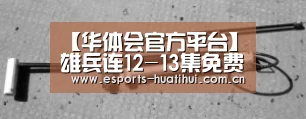 华体会体育app下载