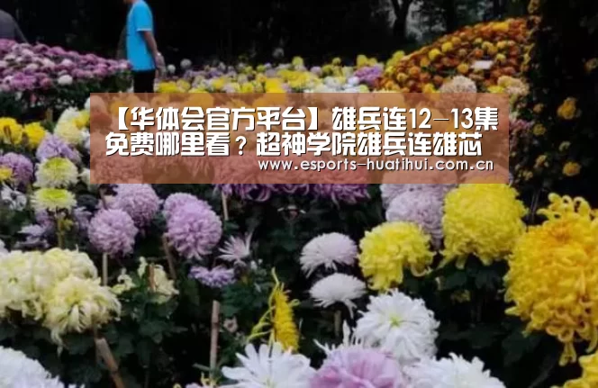 华体会官方平台