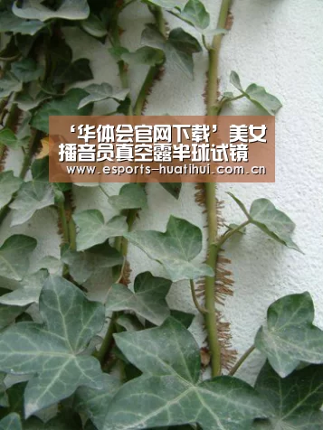 华体会官方网站入口