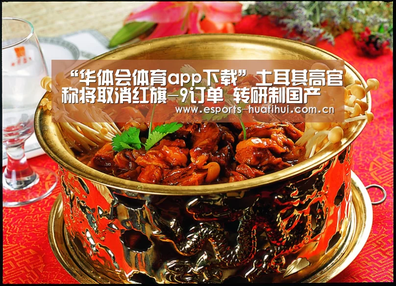 “华体会体育app下载”土耳其高官称将取消红旗-9订单 转研制国产导弹(图)(图3) 华体会官方网站入口