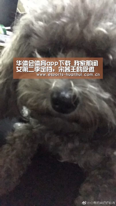 华体会体育app下载_我家那闺女第二季定档,宋茜王鸥受邀录制(图4) 华体会官方平台