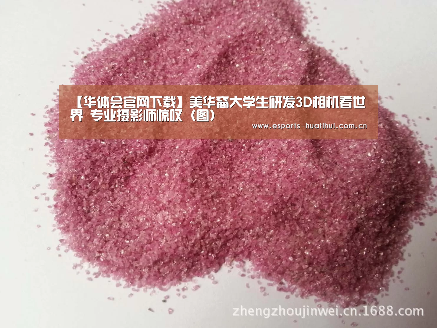 【华体会官网下载】美华裔大学生研发3D相机看世界 专业摄影师惊叹(图)(图1) 华体会体育app下载