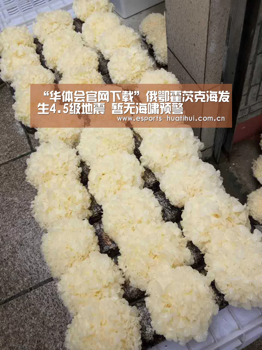 华体会官方平台