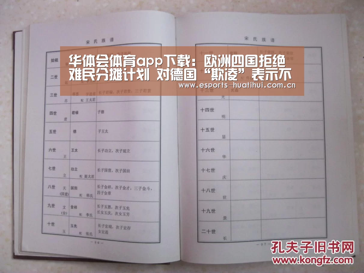 华体会体育app下载:欧洲四国拒绝难民分摊计划 对德国“欺凌”表示不满(图2) 华体会官网下载