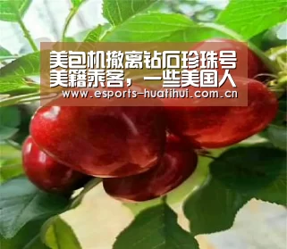 美包机撤离钻石珍珠号美籍乘客,一些美国人表示愿继续留守隔离‘华体会官方平台’(图1) 华体会官方平台